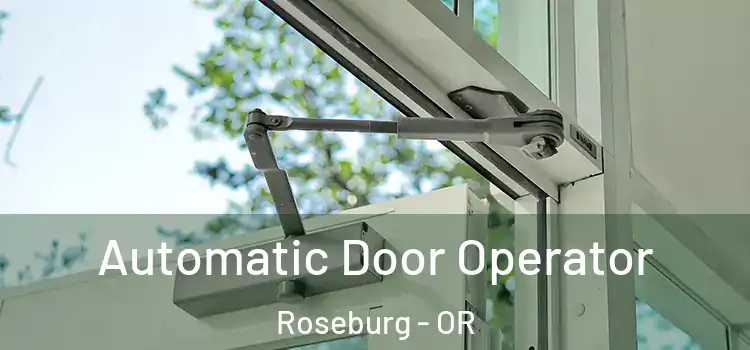  Automatic Door Operator Roseburg - OR