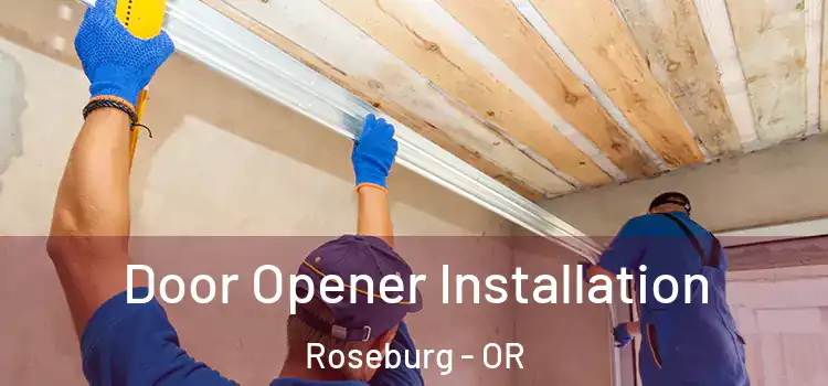  Door Opener Installation Roseburg - OR