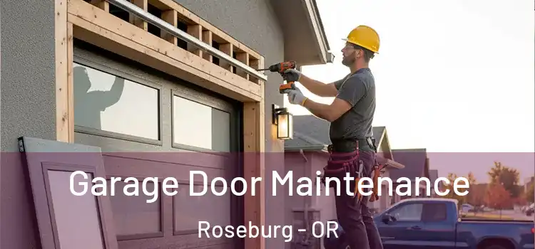  Garage Door Maintenance Roseburg - OR