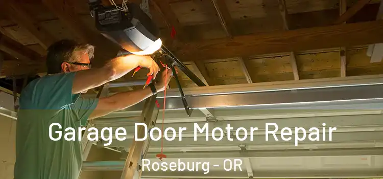  Garage Door Motor Repair Roseburg - OR
