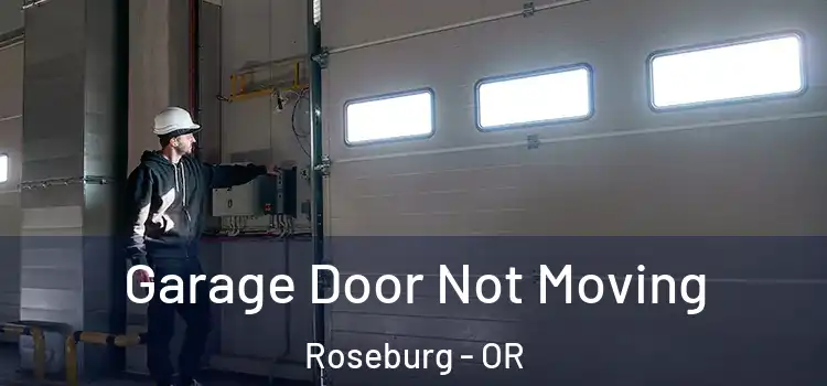  Garage Door Not Moving Roseburg - OR