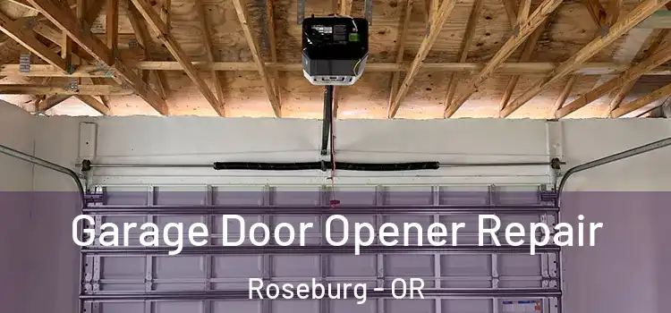  Garage Door Opener Repair Roseburg - OR