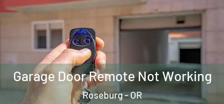  Garage Door Remote Not Working Roseburg - OR