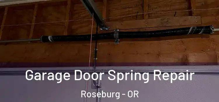  Garage Door Spring Repair Roseburg - OR