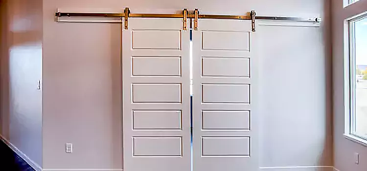 Glass Barn Door with Installation Hardware Kit Roseburg