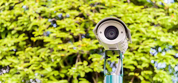 Advanced Surveillance Solutions for Every Need in Roseburg
