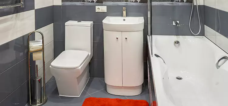 Hansgrohe Shaving Mirror Roseburg