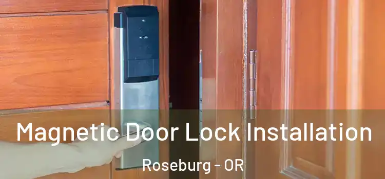  Magnetic Door Lock Installation Roseburg - OR