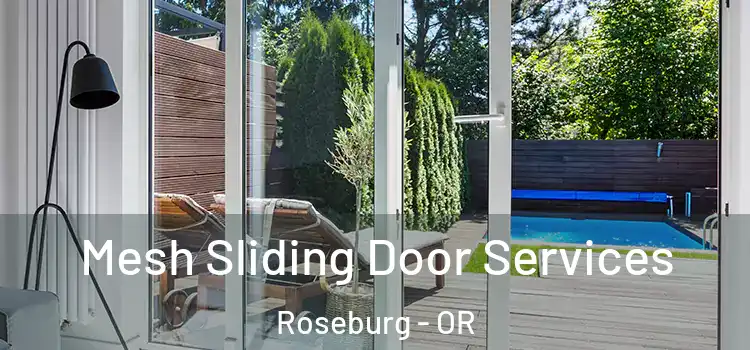  Mesh Sliding Door Services Roseburg - OR