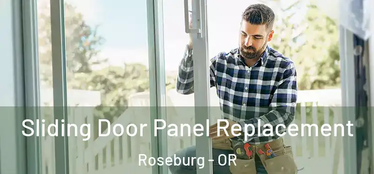  Sliding Door Panel Replacement Roseburg - OR